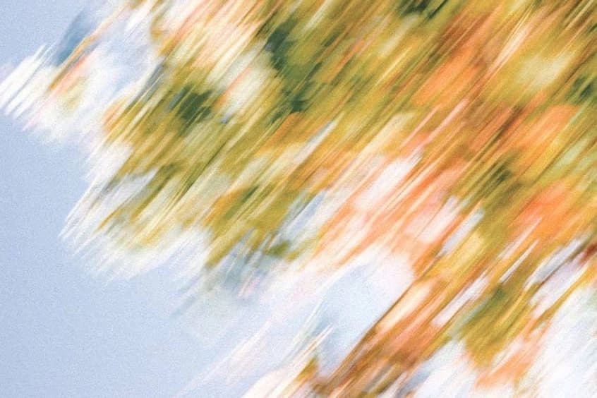 Atherogenic Coefficient biomarker illustration