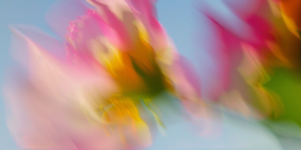 Oestradiol biomarker illustration