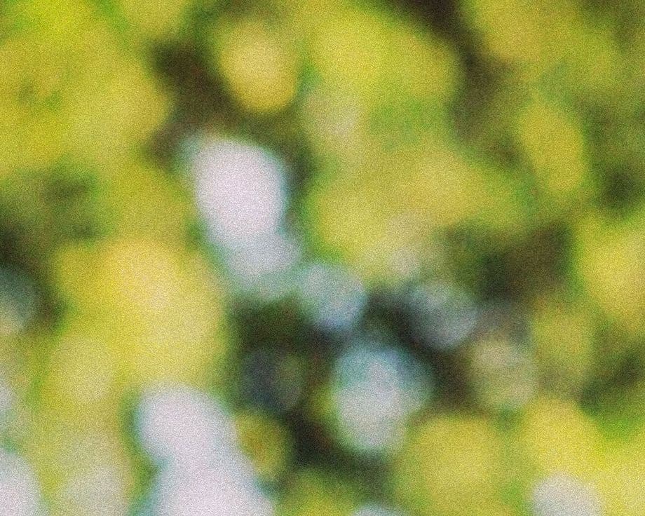 Thyroglobulin Antibodies biomarker illustration