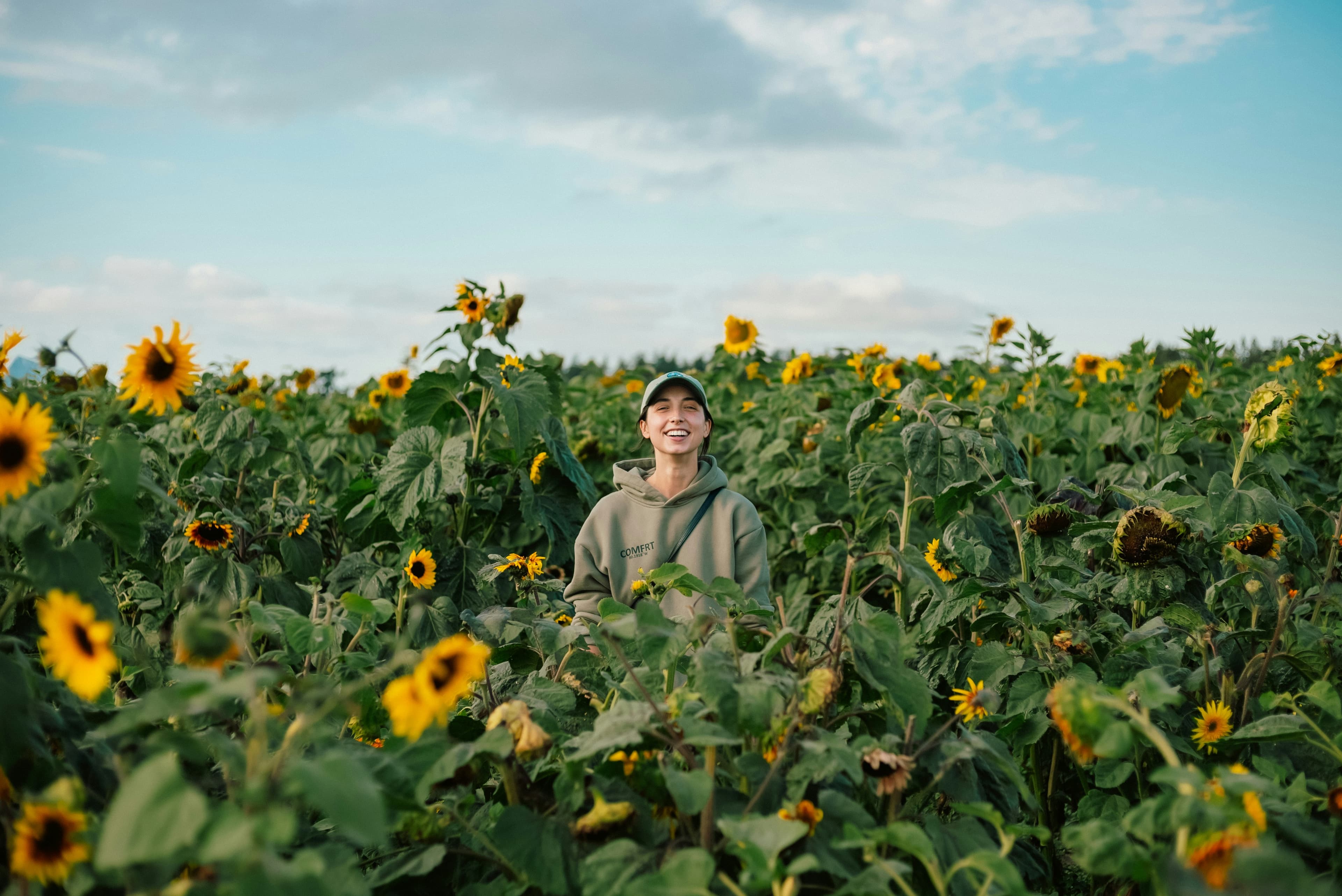 Blood test results showing fasting glucose, insulin and HbA1c markers related to insulin resistance